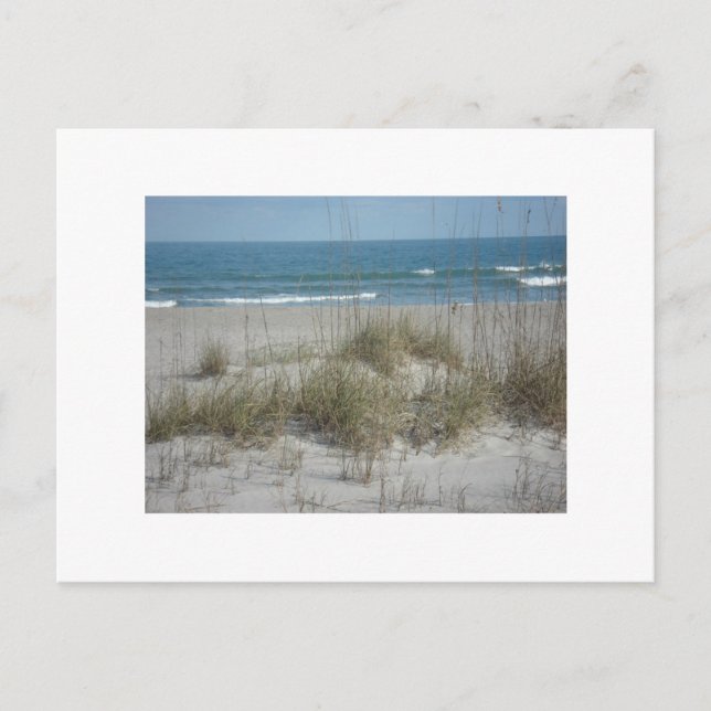 Carte Postale DSC04194, Cocoa Beach, FLPhoto par Julie.B.Carter (Devant)