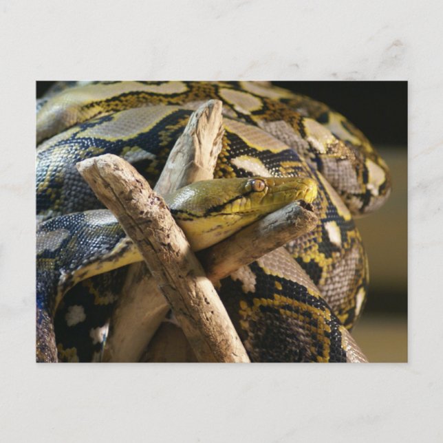 CARTE POSTALE DSC04222 (Devant)