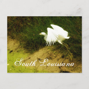 Carte Postale DSC08779bb, Louisiane du Sud
