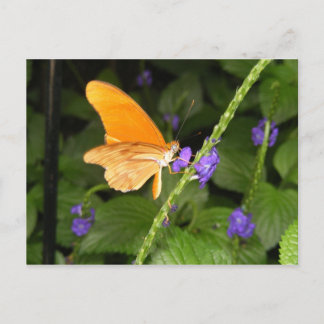 CARTE POSTALE DSCF9699