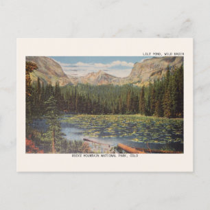 Carte postale du bassin sauvage du Rocky Mountain