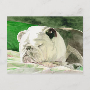 Carte postale du Bulldog endormi