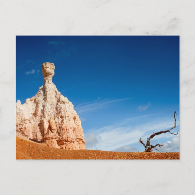 Carte postale du canyon Bryce NP - Gnome et un arb (Devant)