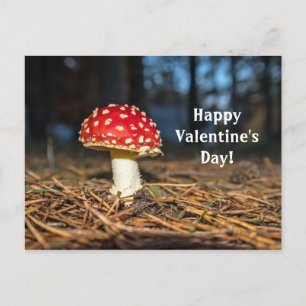 Carte postale du Champagne Rouge Saint Valentin