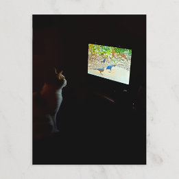 Carte postale du chat qui aime son temps d'écran