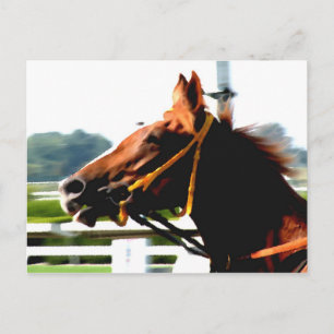 Carte postale du cheval de course Thoroughbred