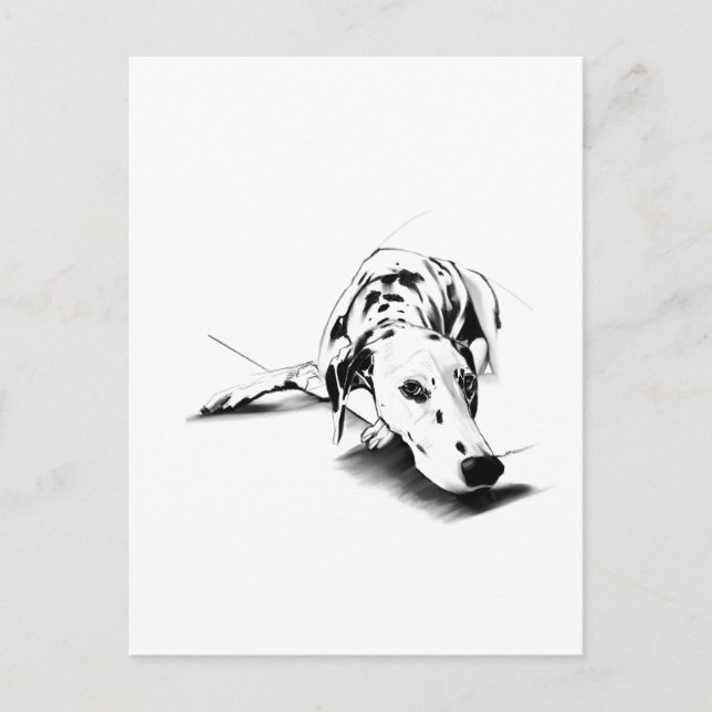 Carte postale du chien dalmate - Dessin à la main (Devant)