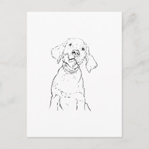 Carte postale du chien Retriever du Labrador