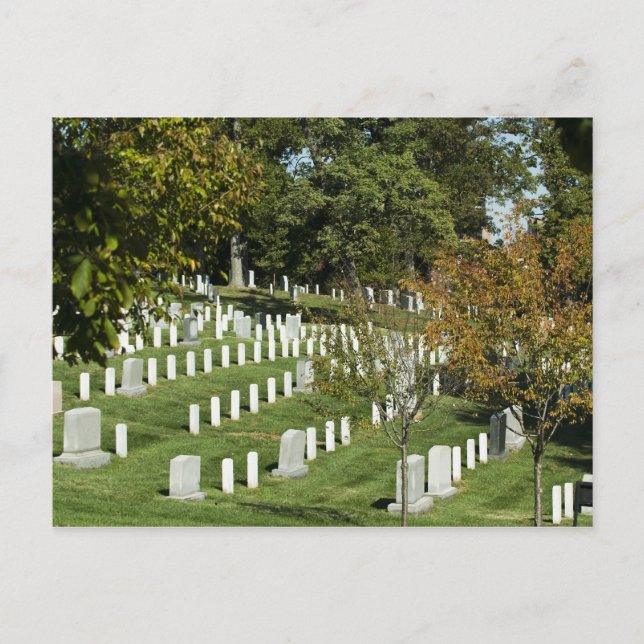 Carte postale du cimetière national Arlington (Devant)