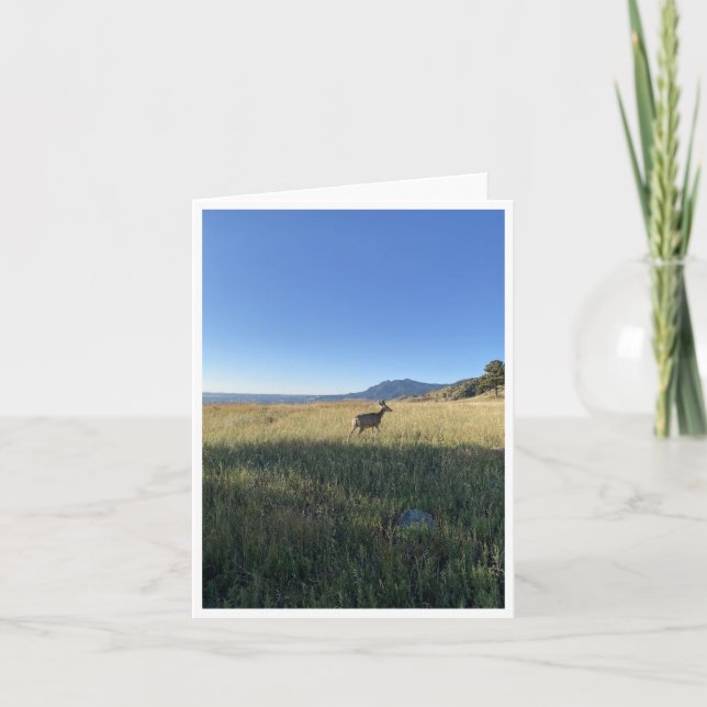 Carte postale du Colorado 5 (Devant)