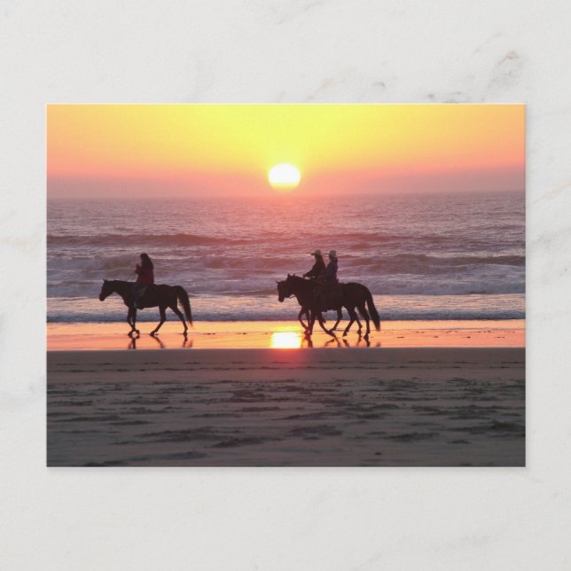 Carte postale du coucher de soleil avec cheval (Devant)