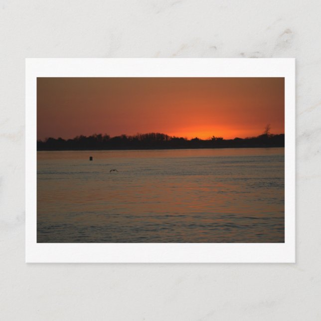Carte postale du coucher de soleil sur l'océan (Devant)
