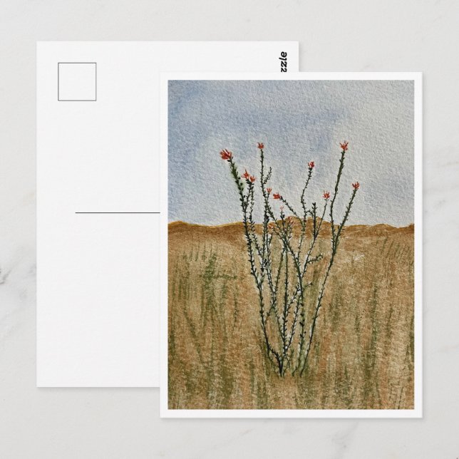 Carte postale du désert de Chihuahua Ocotillo (Devant / Derrière)