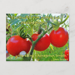 Carte Postale du devis de plaisir Tomato