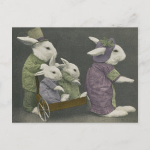 Carte postale du dimanche Bunnies