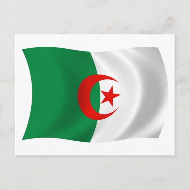 Carte postale du drapeau de l'Algérie (Devant)