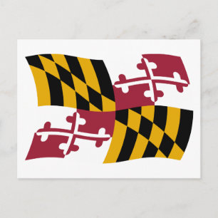 Carte postale du drapeau du Maryland