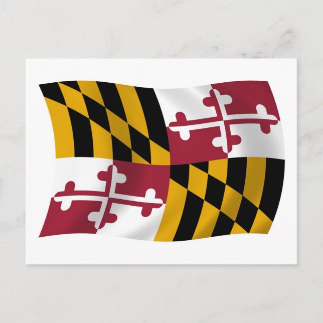 Carte postale du drapeau du Maryland (Devant)