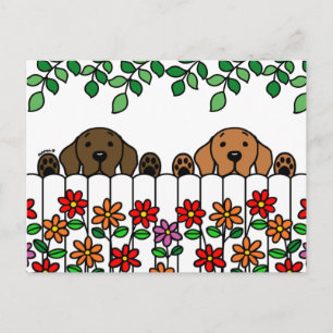 Carte postale du duo de labradors vous regardant