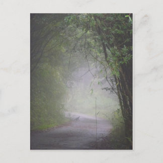 Carte postale du faisan de Mikado