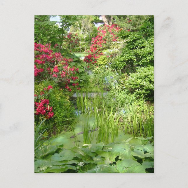 Carte postale du jardin (Devant)