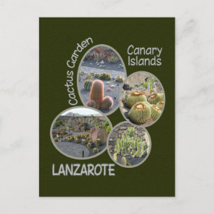 Carte postale du Jardin de Cactus