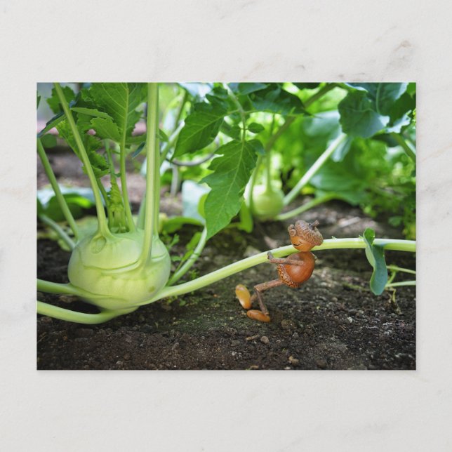 Carte postale du jardinier de printemps de l'elfe  (Devant)