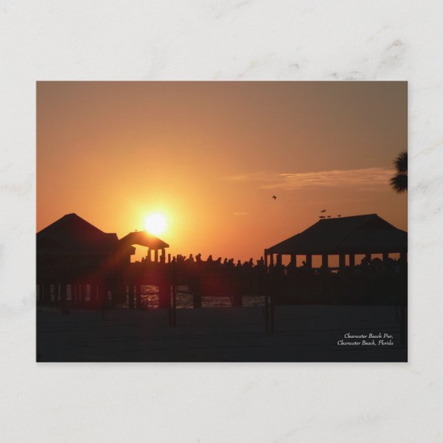 Carte postale du jetée de Clearwater Beach (Devant)