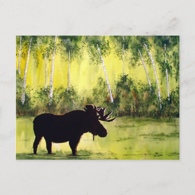 Carte postale du journal du nord (Devant)