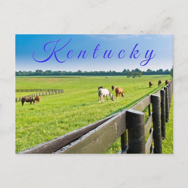 Carte postale du Kentucky. Chevaux à la ferme à ch (Devant)