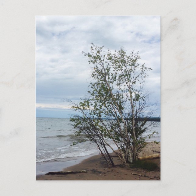 Carte postale du lac Supérieur (Devant)