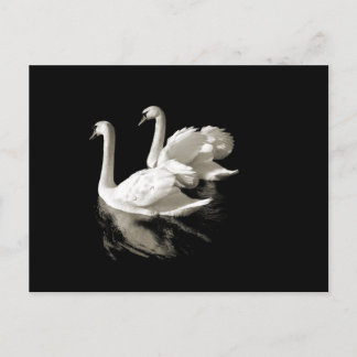 Carte postale du lac Swan