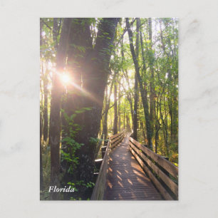 Carte postale du lever du soleil de Floride