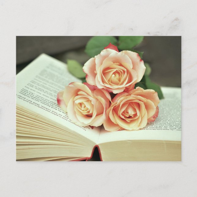 Carte postale du livre Romance, carte postale du l (Devant)