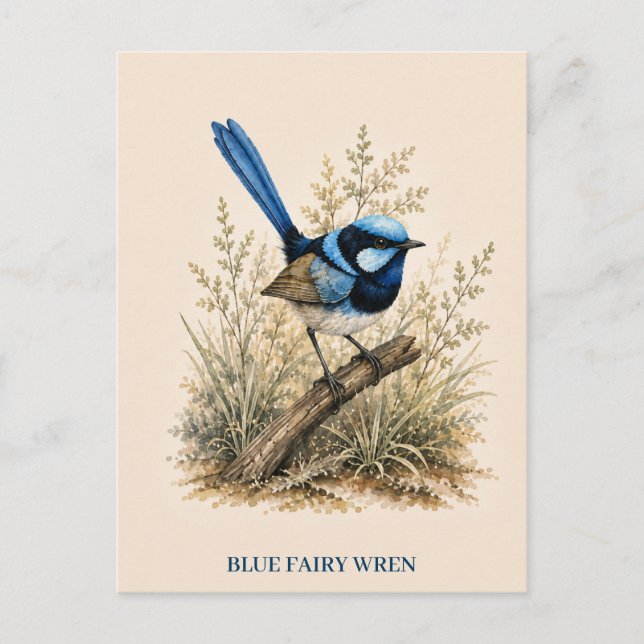 Carte postale du Mérion à dos bleu | Édition Bush (Devant)