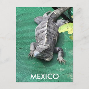 Carte postale du Mexique