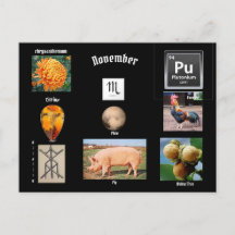 Carte postale du mois de naissance du Scorpion de