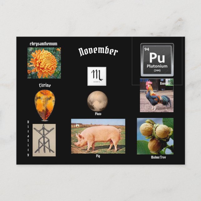 Carte postale du mois de novembre Scorpion (Devant)