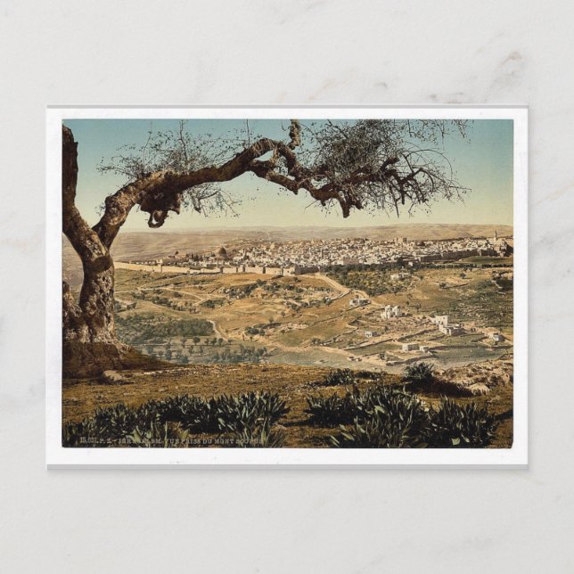 Carte Postale Du Mont Scopus, Jérusalem, Terre Sainte, Ph classi (Devant)