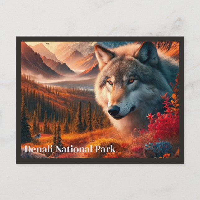 Carte postale du parc d'État Denali Wolf Sunset (Devant)