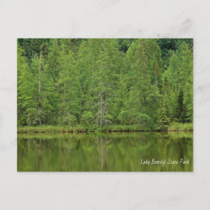 Carte postale du parc d'État du lac Bemidji