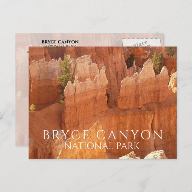 Carte postale du parc national de Bryce Canyon rep (Devant / Derrière)