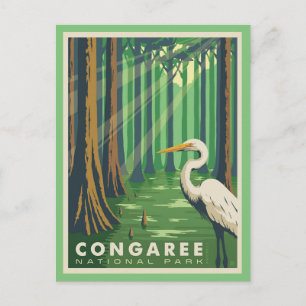 Carte postale du parc national de Congaree SC