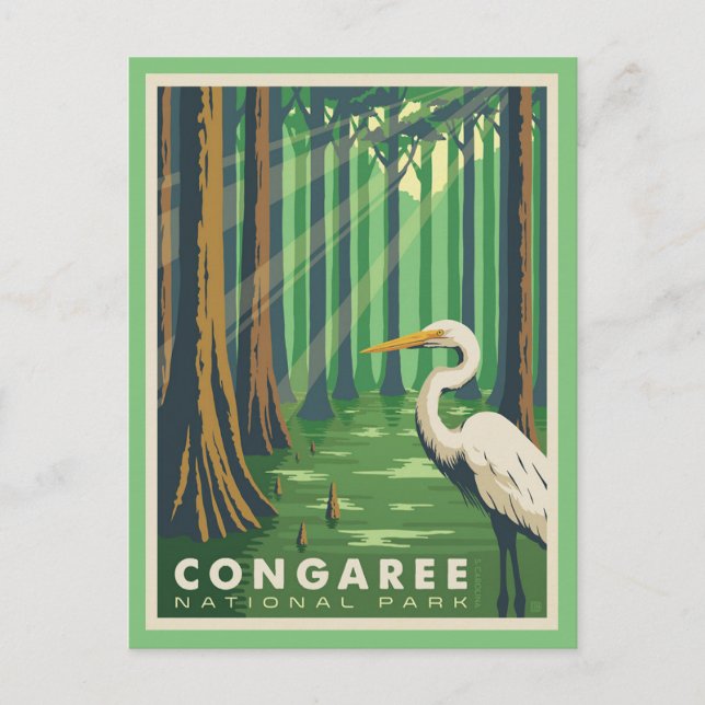 Carte postale du parc national de Congaree SC (Devant)