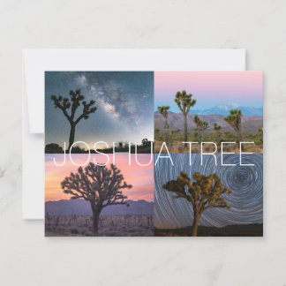 Carte postale du parc national de Joshua Tree