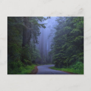Carte postale du parc national de Misty Redwood
