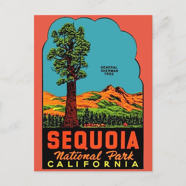 Carte postale du parc national de Sequoia en Calif (Devant)