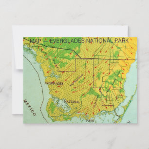 Carte postale du parc national des Everglades