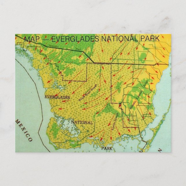 Carte postale du Parc national des Everglades (Devant)