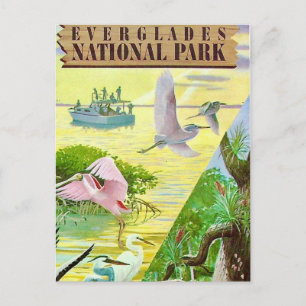 Carte postale du Parc national des Everglades